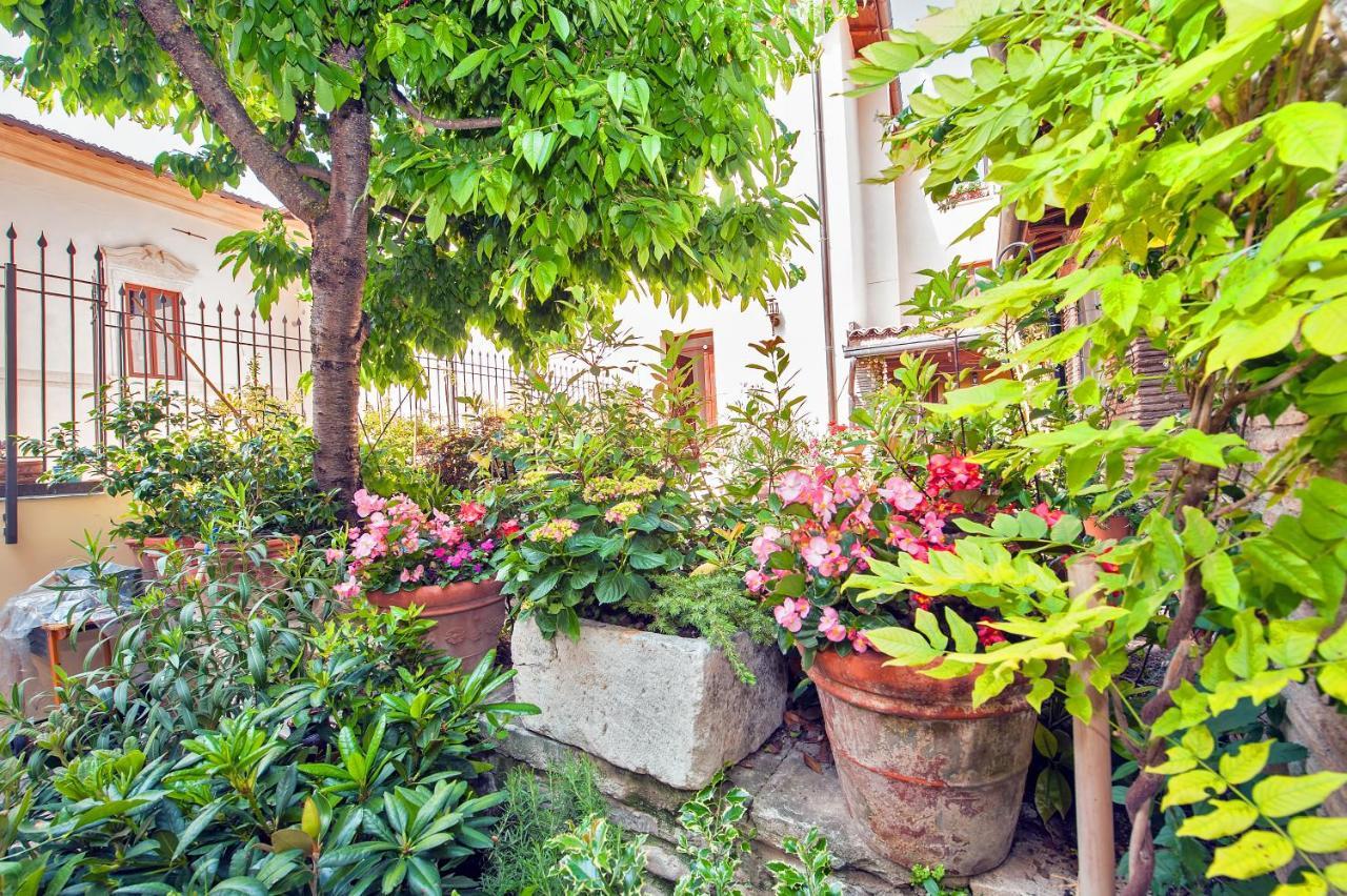 B&B Bone Novelle Dimora Storica Palazzo Zuzi LʼAquila Exterior foto